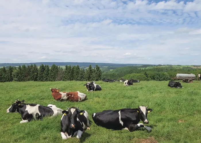 1 Wolfschlucht * Hermespand